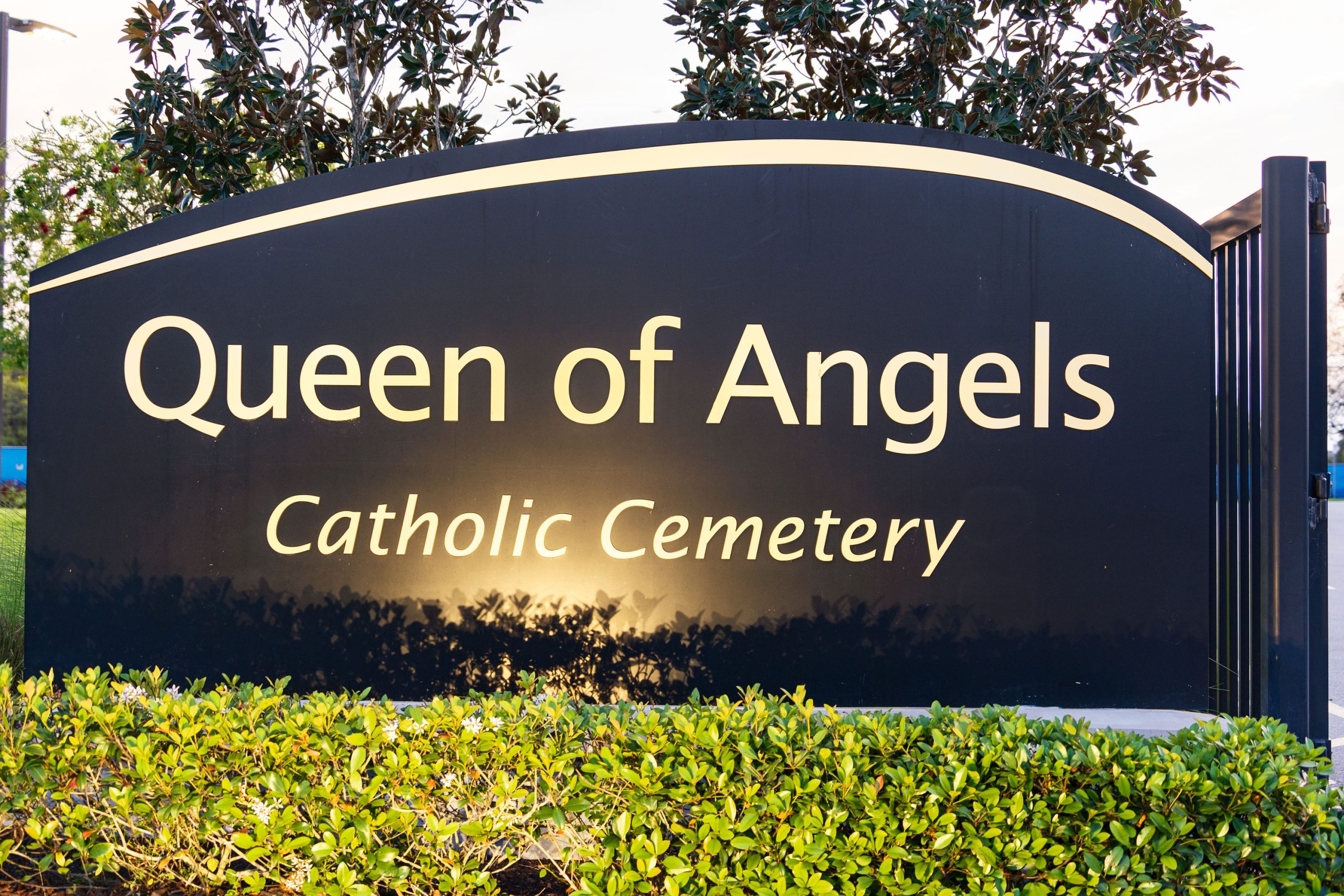 Queen of Angels